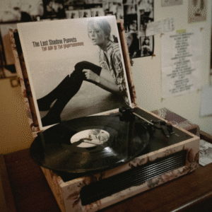 the-age-of-the-understatement-the-last-shadow-puppets